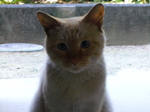 1A1A1A20437-thumbnail2.jpg
