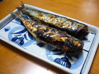 めし 204.jpg