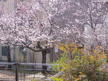 p[NnC106 001.jpg